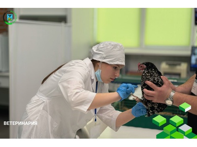 ВТОРАЯ НЕДЕЛЯ РЕГИОНАЛЬНОГО ЭТАПА ЧЕМПИОНАТА «ПРОФЕССИОНАЛЫ» ЗАВЕРШЕНА!