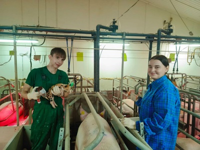 Центр карьеры как эффективная модель выстраивания успешного трудоустройства студентов и выпускников техникума